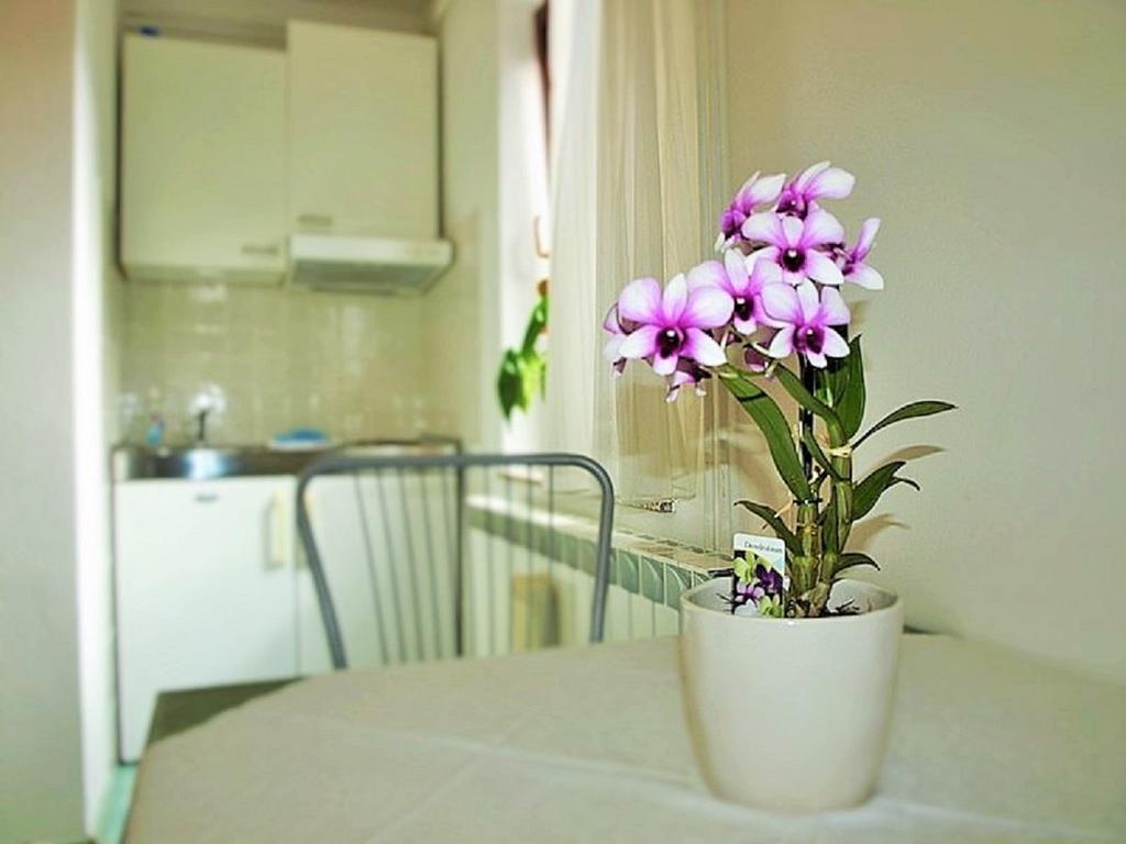 Apartment Koric Ичичи Экстерьер фото